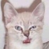 The Taint's Avatar